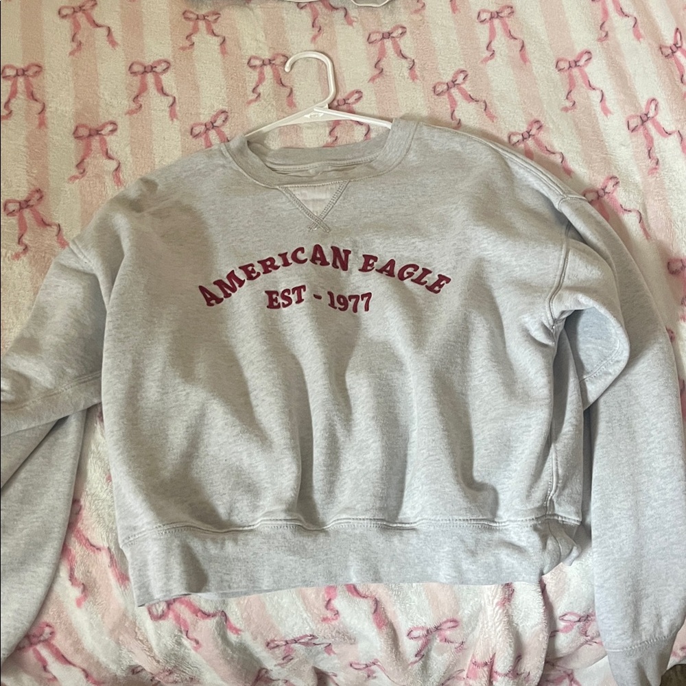 American Eagle Outfitters Gray Sweater with Red Logo